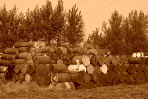 Chemical Drums in a field