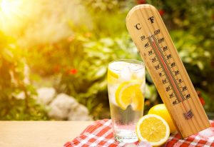 temperature guage