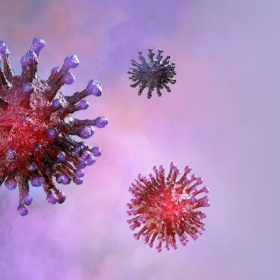 Corona COVID virus